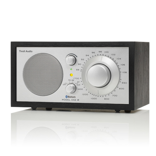 Model One Radio & Bluetooth Speaker