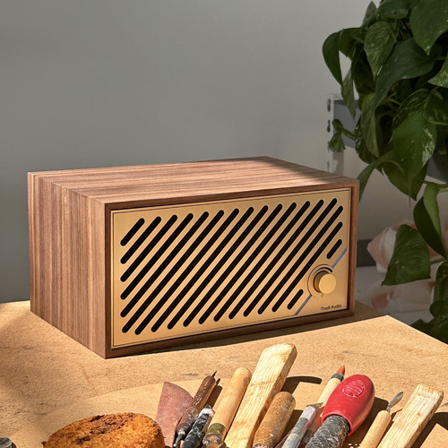 Tivoli Audio Model 2 Radio & Bluetooth Speaker