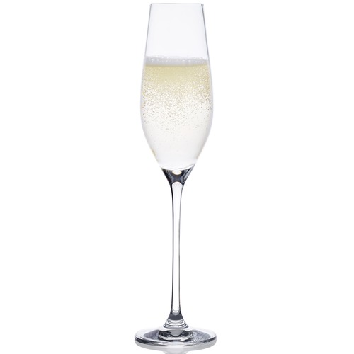 Noritake Bel Vino 210ml Champagne Flutes | Temple & Webster