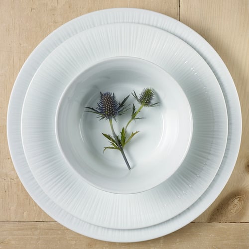 12 Piece Conifere Porcelain Dining Set