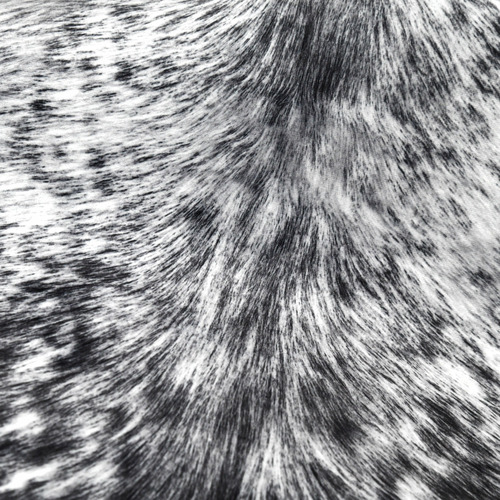 Boyle Grey Exotic Faux Cowhide Rug & Reviews Temple & Webster