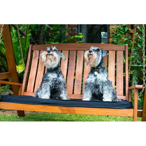 Rivers 2 Seat Hardwood Swing with Canopy and Cushion