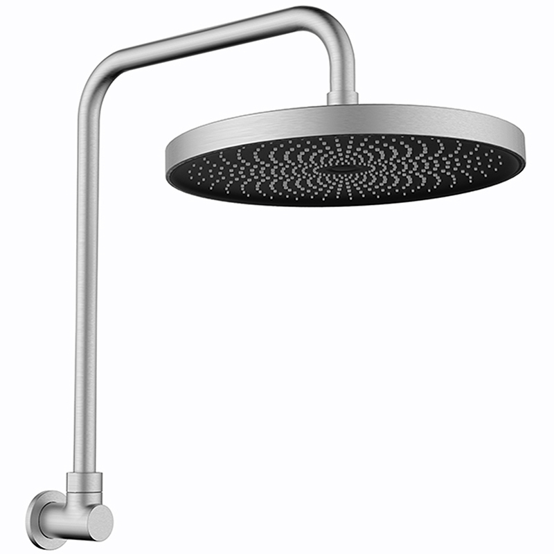 2 Piece The Gabe Shower & Arm Set