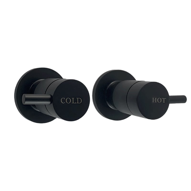 2 Piece Elle Brass Wall Top Assembly Set