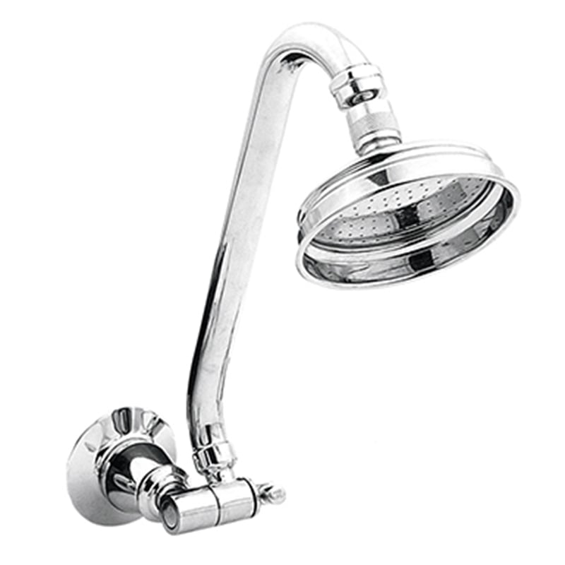 2 Piece Noosa Gooseneck Shower Arm & Head Set