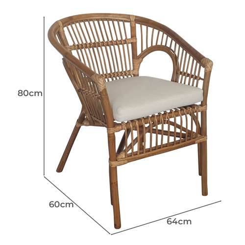 Aiyana Rattan Dining Chairs Temple & ster