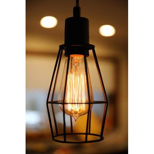Wire Cage Industrial Pendant Light