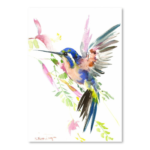 StateStudio Flying Hummingbird Print | Temple & Webster