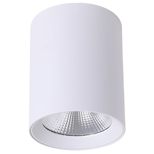 Paco Aluminium LED Downlight