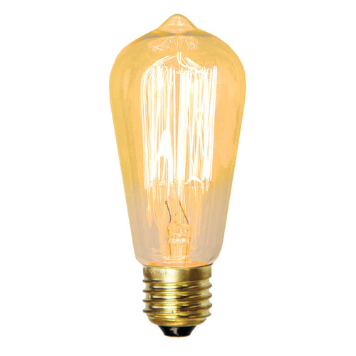 Zander Lighting Vintage 25W E27 Squirrel Cage Filament Bulb | Temple ...