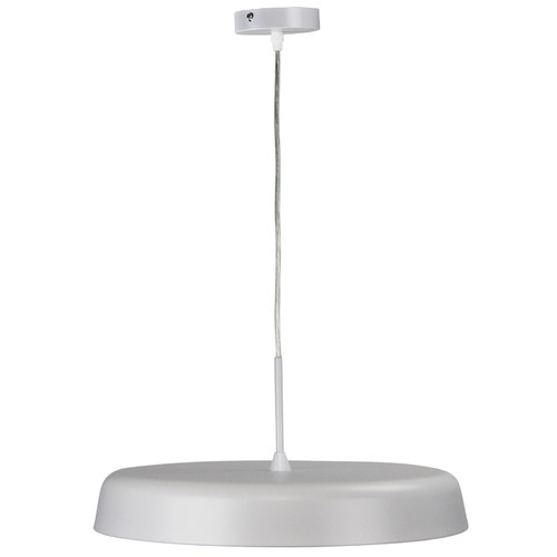 42cm Feeney Pendant Light
