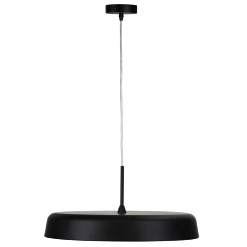 42cm Feeney Pendant Light
