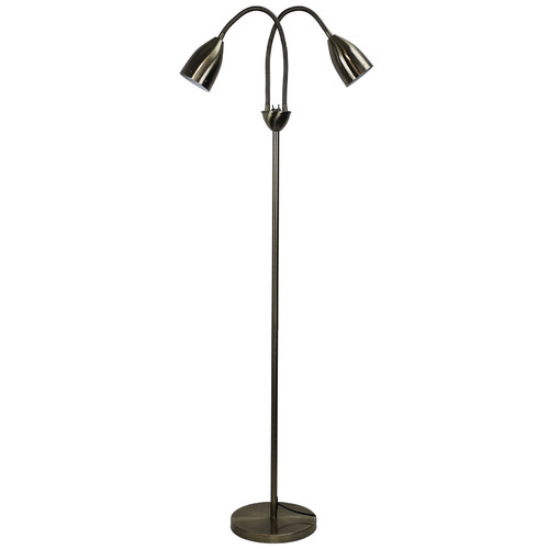 Wheatley 2 Light Metal Floor Lamp