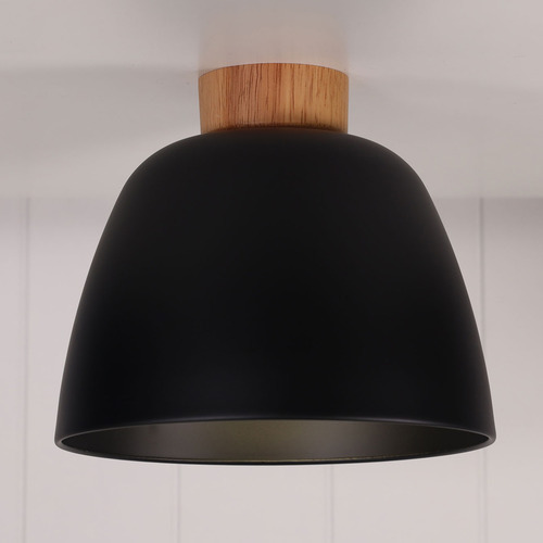 Myles Ceiling Light