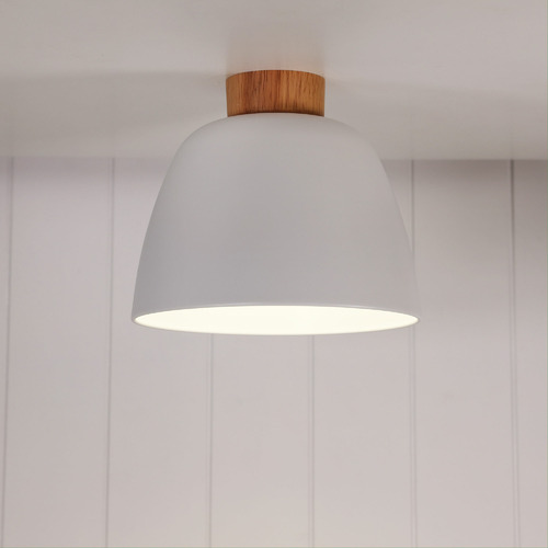 Myles Ceiling Light