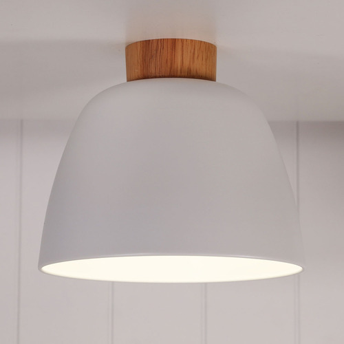 Myles Ceiling Light
