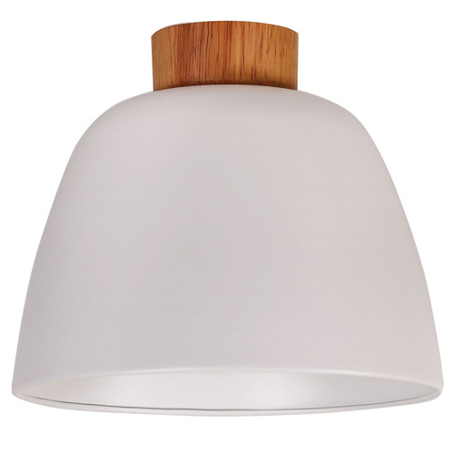Myles Ceiling Light