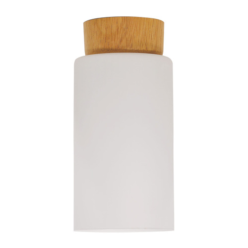 Bardeen Ceiling Light Shade