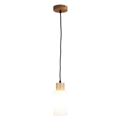 Bardeen 1 Light Pendant