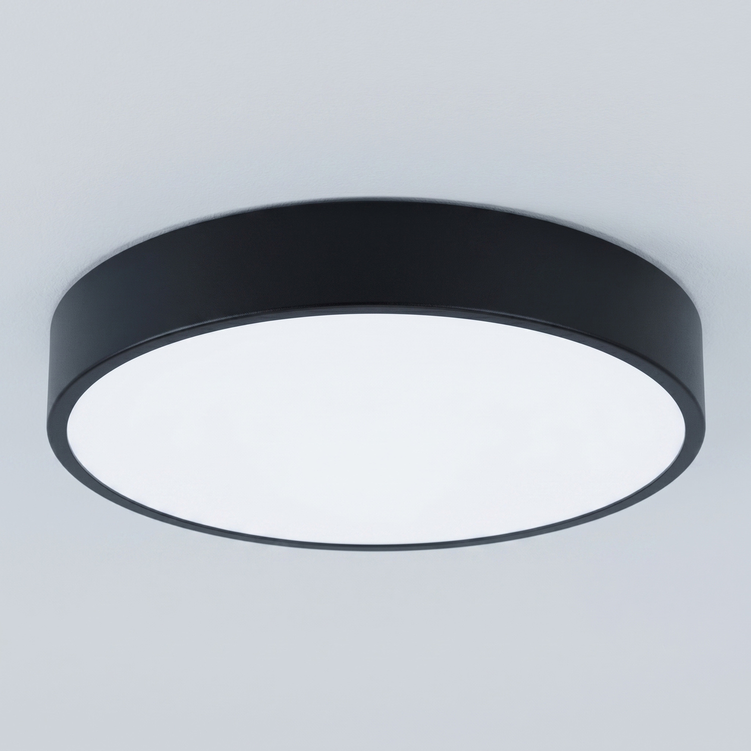 Padma Steel LED Oyster Light
