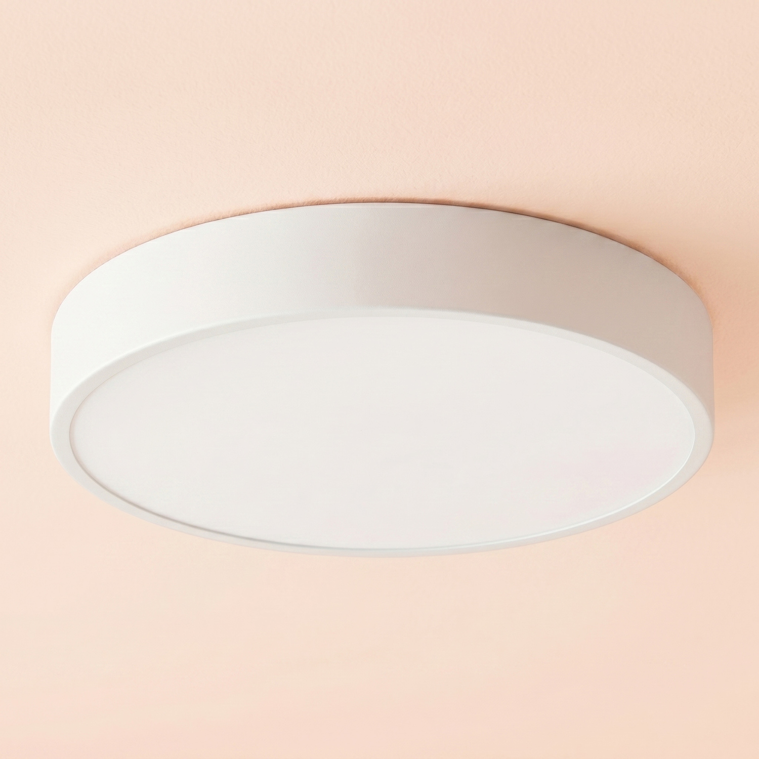 Padma Steel LED Oyster Light