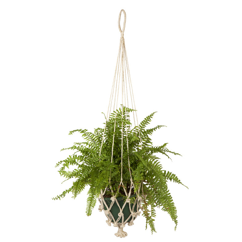 Natural Vibora Hanging Planters
