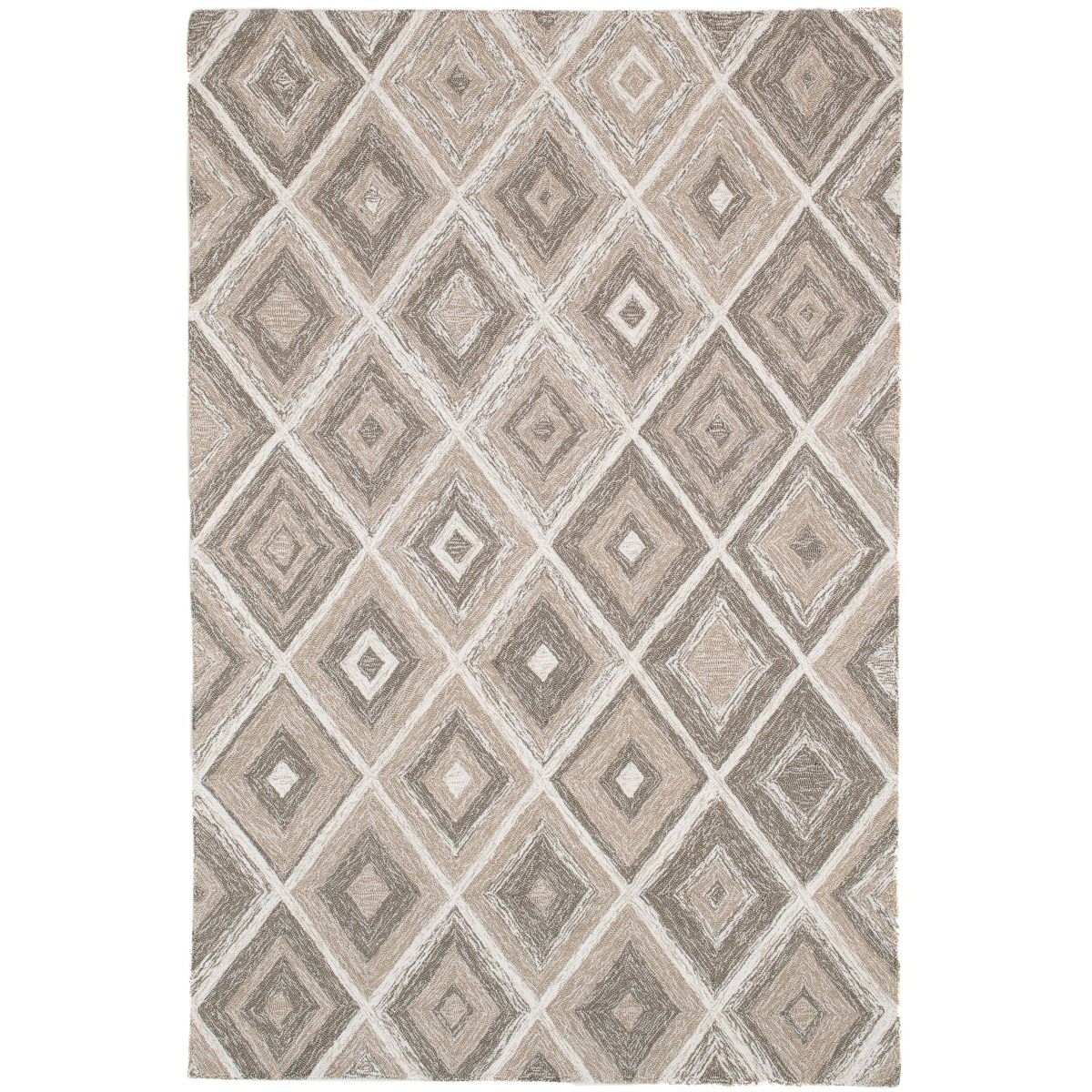 Alexandria Hand-Crafted Indoor/Outdoor Rug