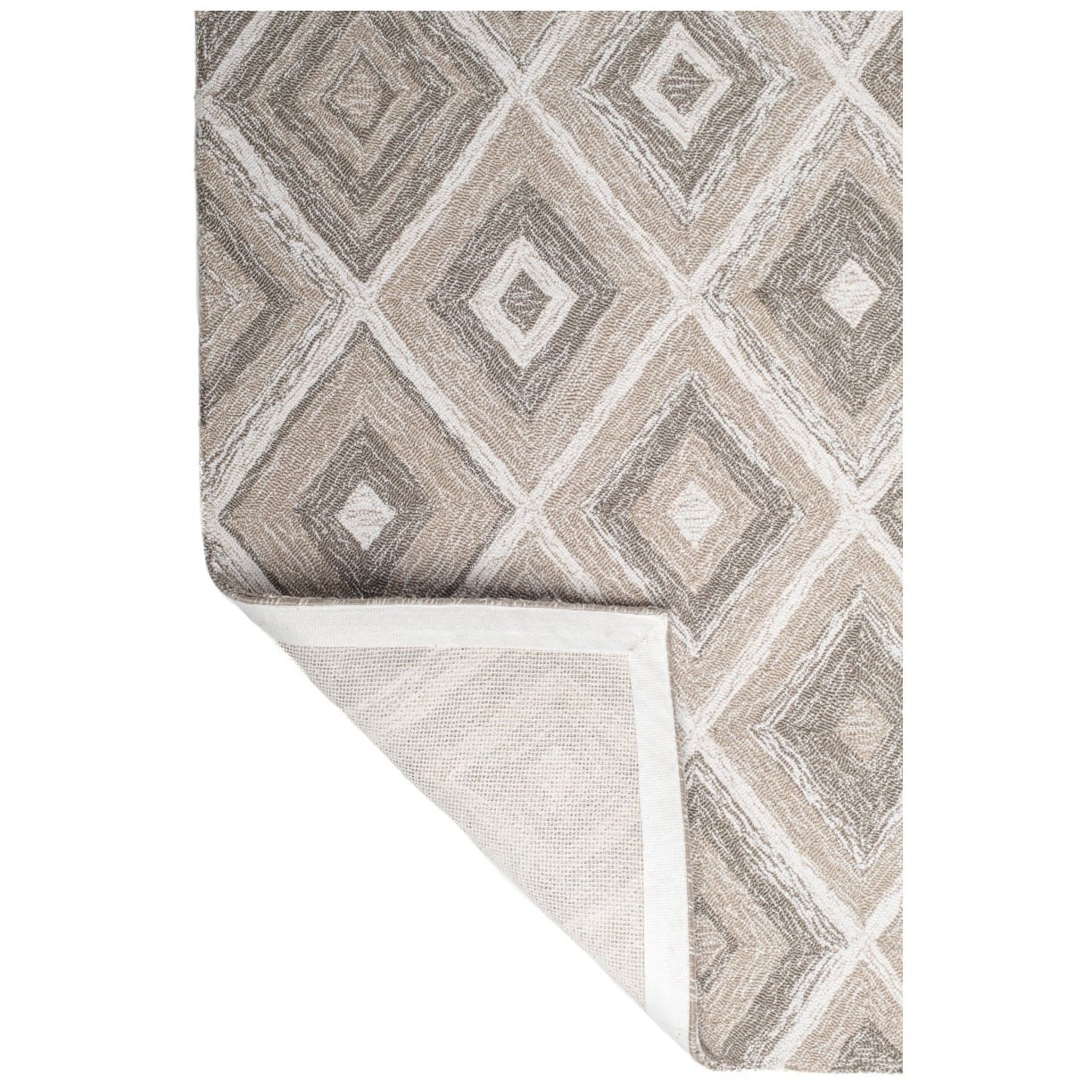 Alexandria Hand-Crafted Indoor/Outdoor Rug