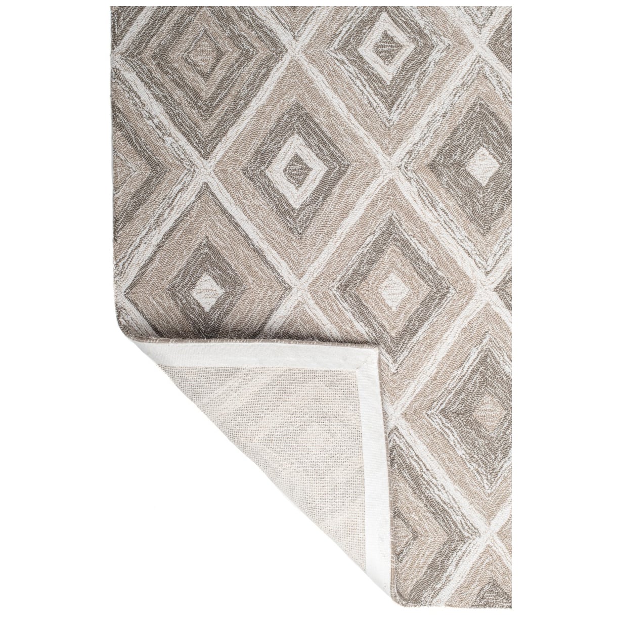 Alexandria Hand-Crafted Indoor/Outdoor Rug