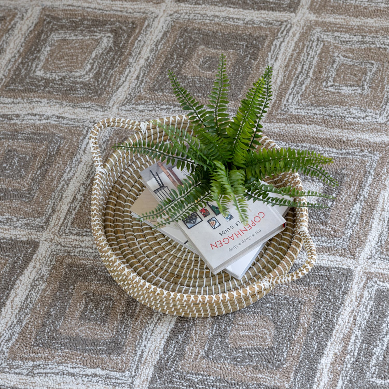 Alexandria-Hand-Crafted-Indoor-and-Outdoor-Rug