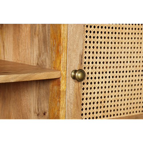 Briar 2 Door Mango Wood TV Unit