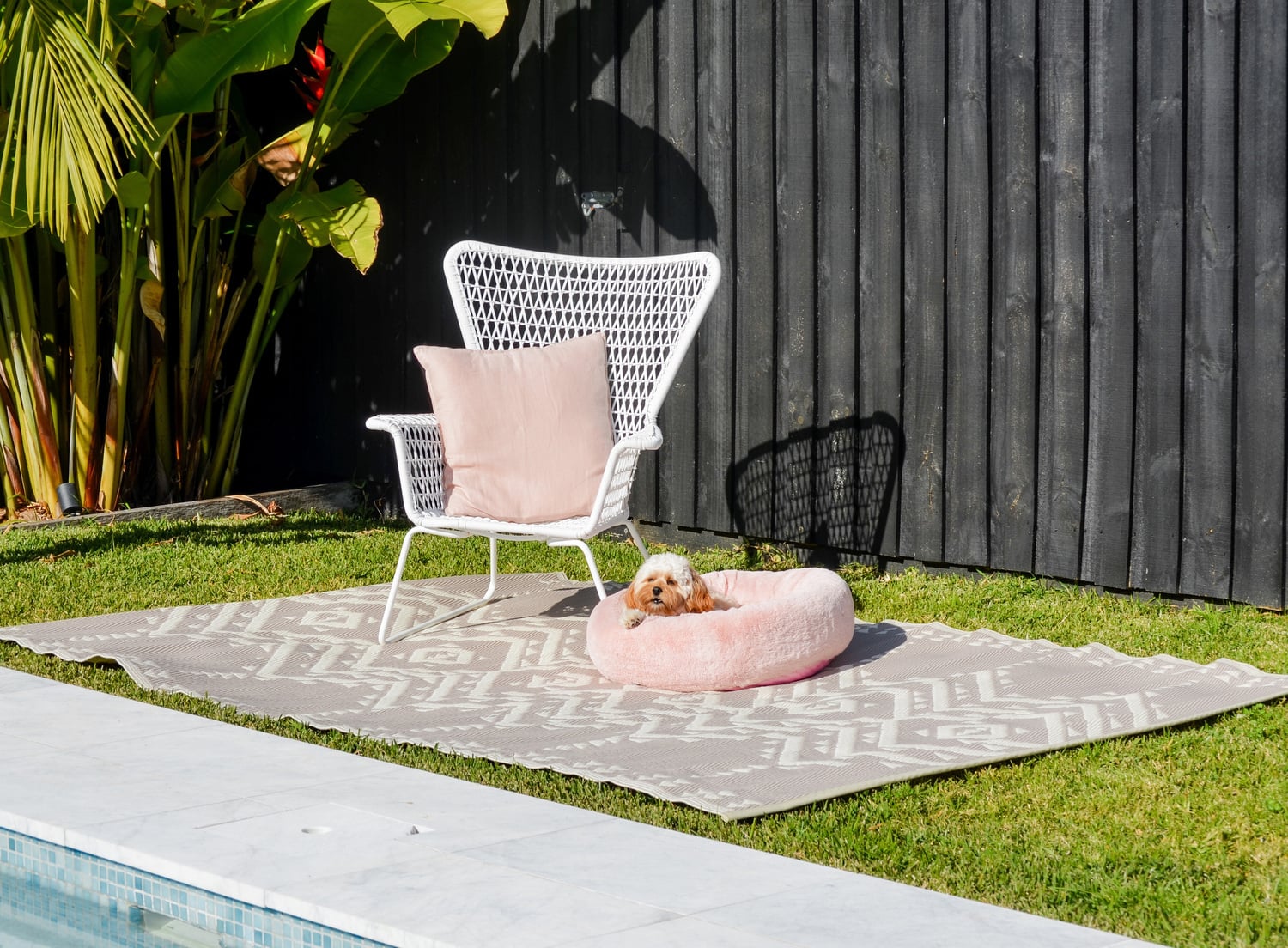 Ayden-Reversible-Outdoor-Rug