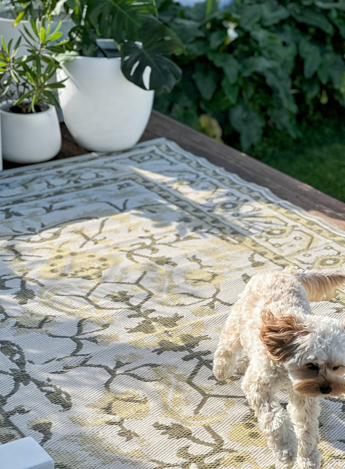 Beige-Laika-Reversible-Outdoor-Rug