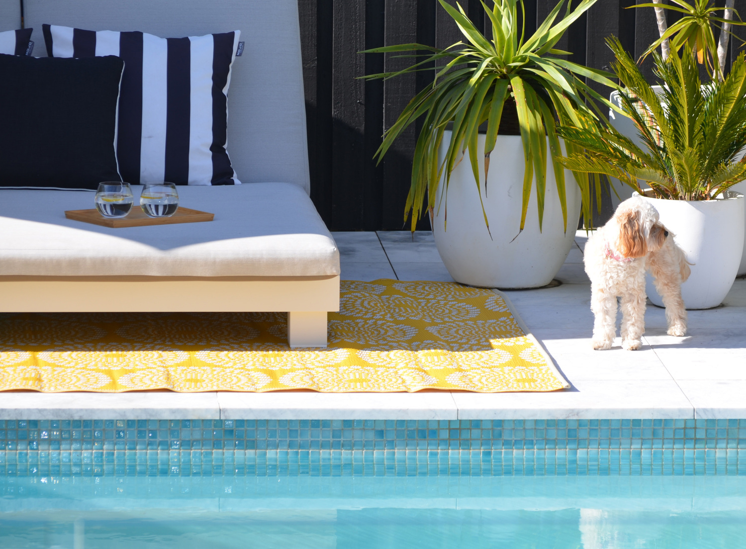 Empress-Reversible-Outdoor-Rug