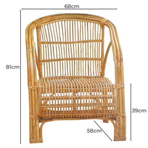 Lowell Rattan Cane Armchair