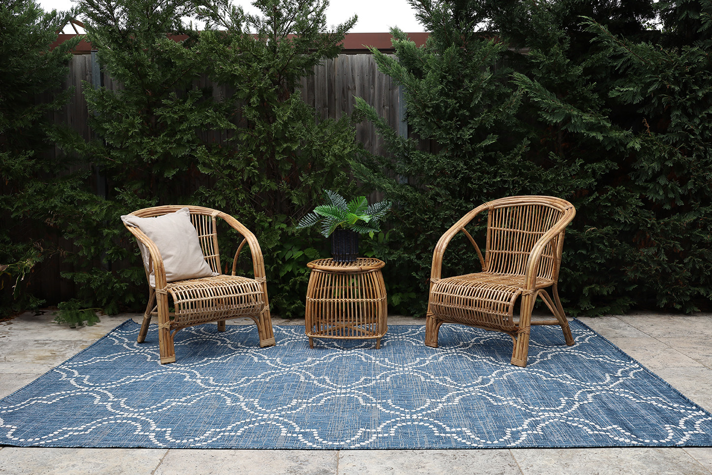 Jinju-Indoor-Outdoor-Rug