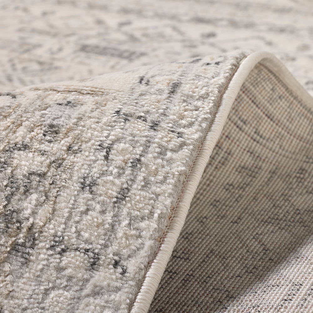 Windsor Distressed Rug