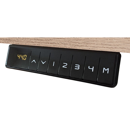 Alvis Executive Standing Desk