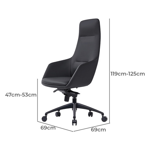 Paulee Faux Leather Executive Chair