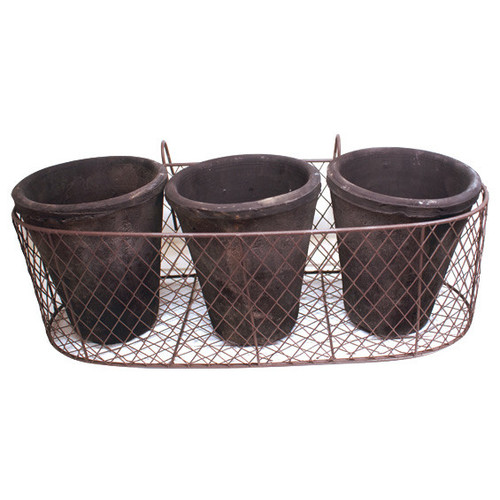 Doormat Designs Wire Holder with 3 Pots & Reviews Temple & Webster