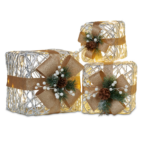 3 Piece Felicity Christmas Present with LED Ornament Set