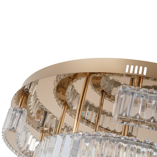 Brio Iron & Round Crystal Flush Mount Ceiling Light
