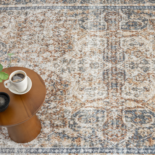 Orion Traditional Rug
