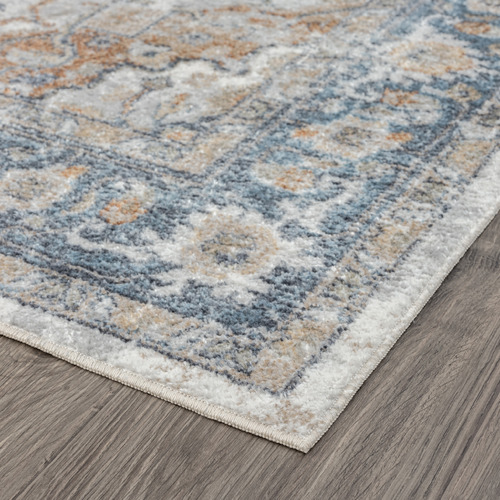 Rogene Traditional Rug