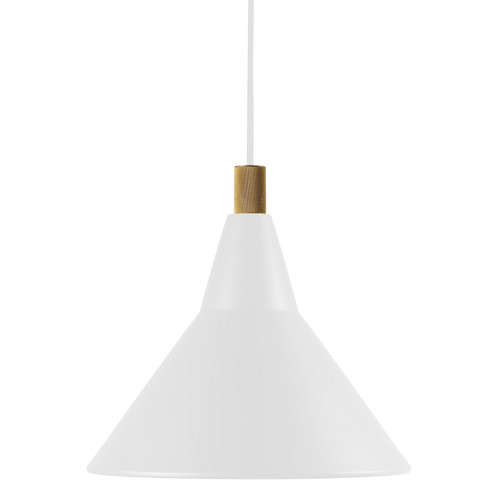 Brassy Pendant Light