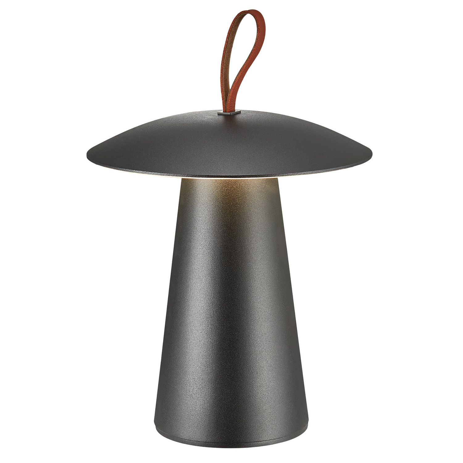 Ara Outdoor Lamp with USB Cable