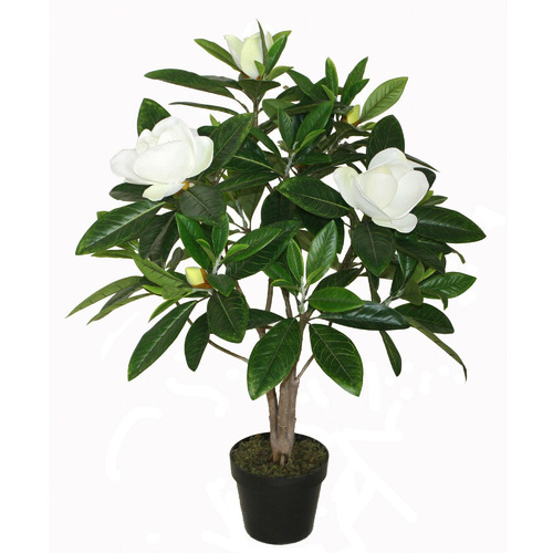 Global Gatherings 90cm Potted Faux Magnolia Tree Temple & ster