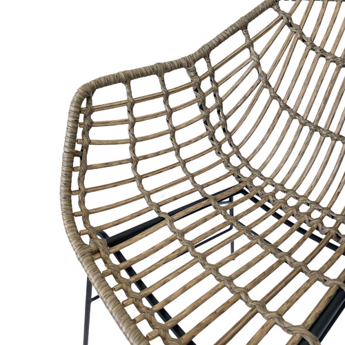 Kamden Rattan Outdoor Dining Chair Temple & ster