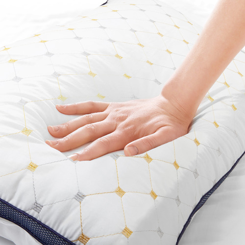 Luxury Air Mesh Pillows