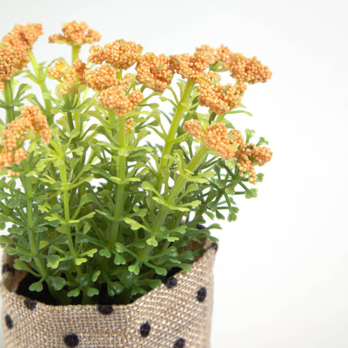 13cm Faux Leonotis Leonurus Plant with Hessian Pot Temple & ster